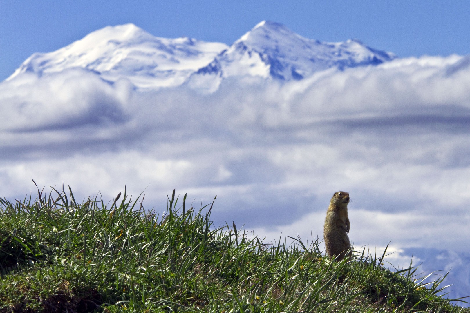 Denali National Park - Alaska - Doets Reizen