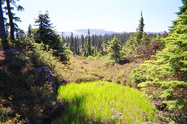 Strathcona Provincial Park - Vancouver Island - British Columbia - Canada - Doets Reizen