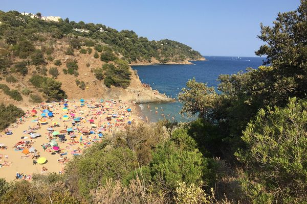 Cavalaire sur Mer strand | Frankrijk | Doets Reizen