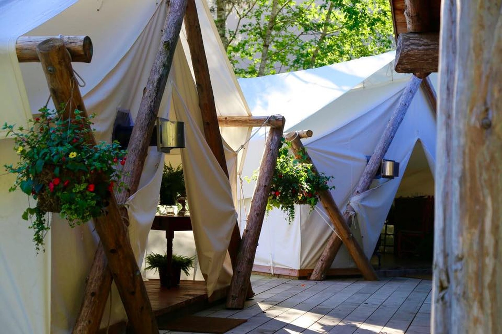 Clayoquot Wilderness Lodge - Pacific Rim National Park - Vancouver Island - British Columbia - Canada - Doets Reizen