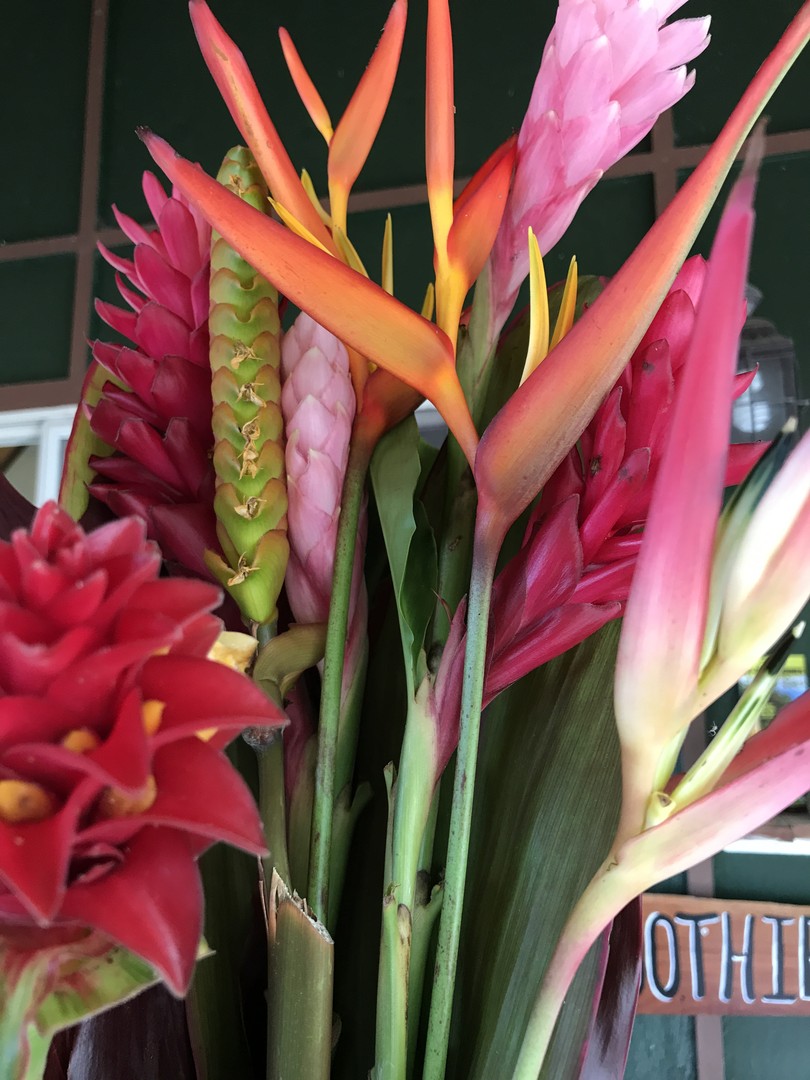 Road to Hana - Maui - Hawaii - Doets Reizen