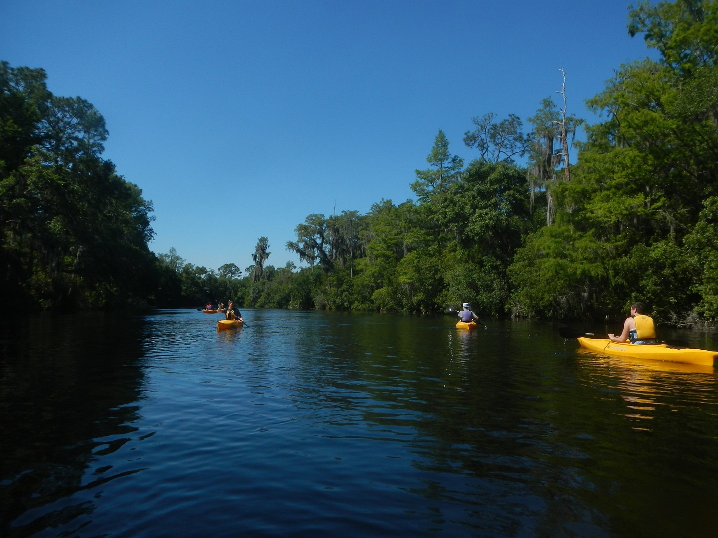 Adventure Challenge Eco Tour - Orlando - Florida - Doets Reizen