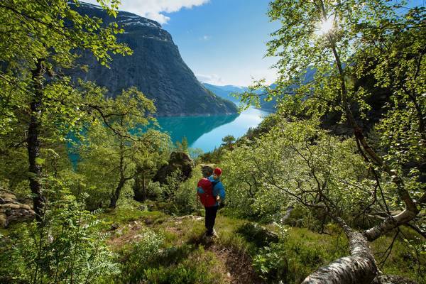 Hardangerfjord - Doets Reizen - Vakantie Noorwegen - Credits VisitNorway