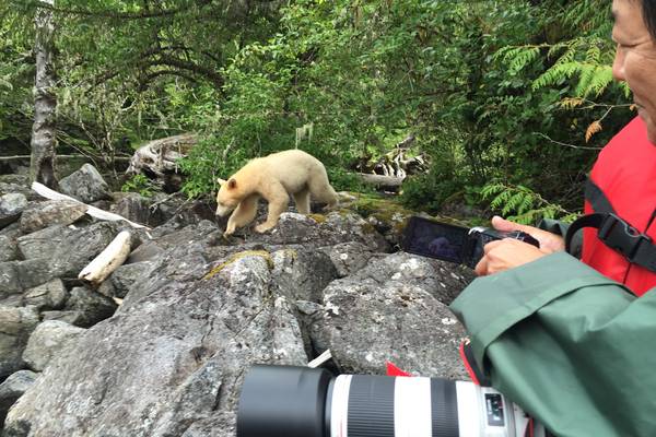 Spirit Bear Lodge - Great Bear Rainforest - British Columbia - Canada - Doets Reizen
