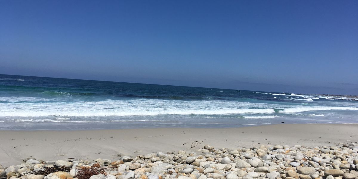 17 Mile Drive - Monterey - California - Amerika - Doets Reizen