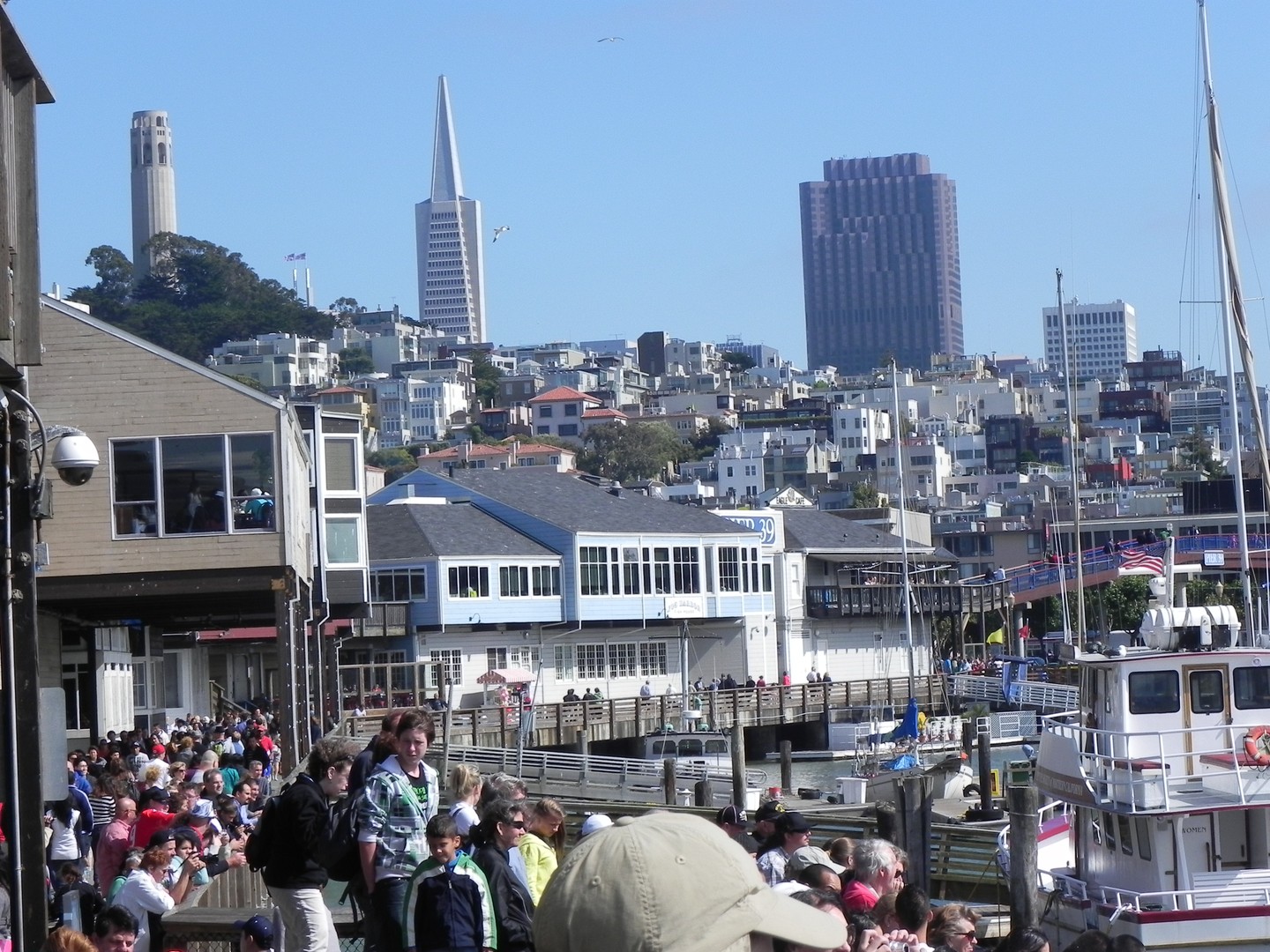 Pier 39 - San Francisco - California - Amerika - Doets Reizen