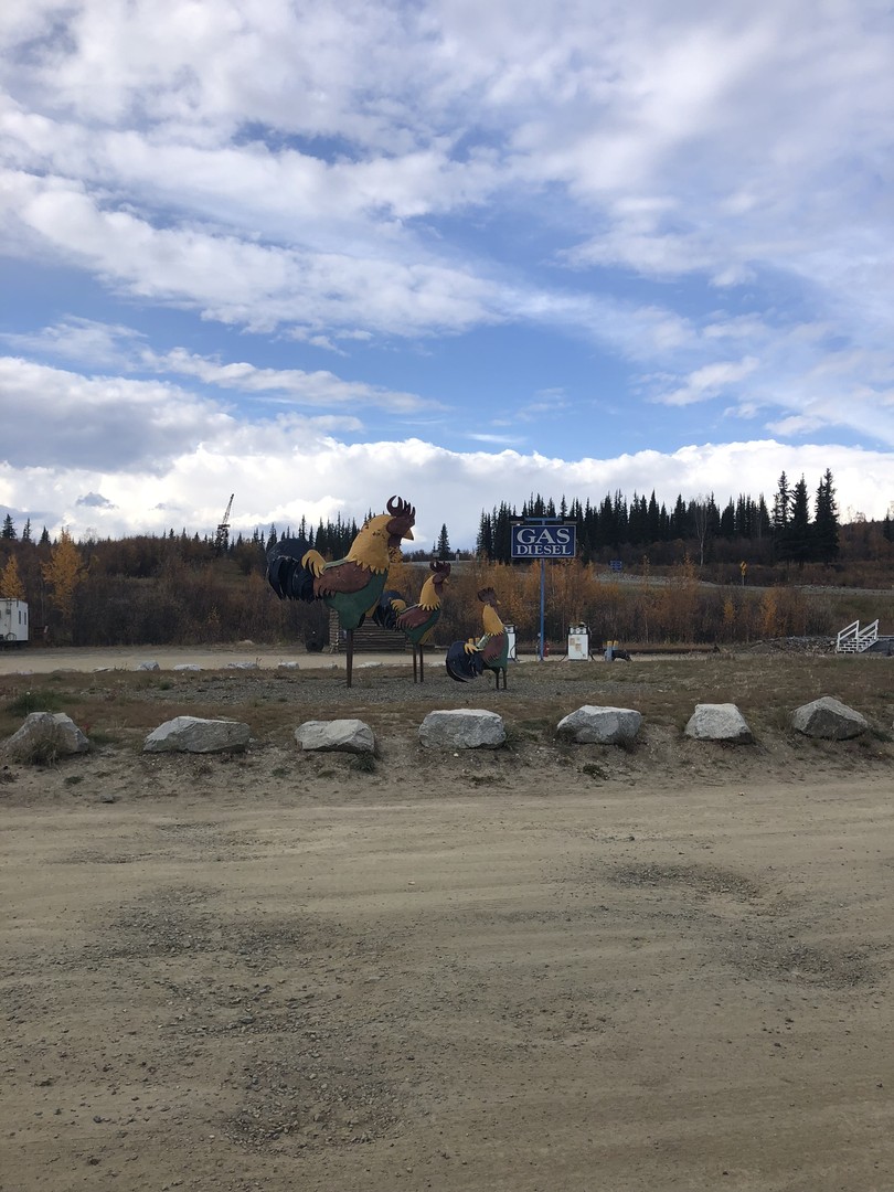 Chicken - Alaska - Doets Reizen