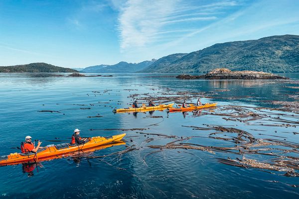 Kajak Tours in Telegraph Cove - Doets Reizen - Photo credits North Island Kayak Tours
