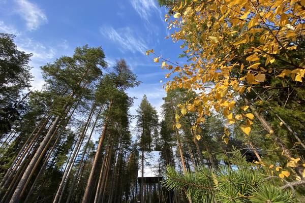 Elske Doets in Zweden - Treehotel Zweden - Treehotel Sweden - Treehotel - Vakantie Zweden - Doets Reizen