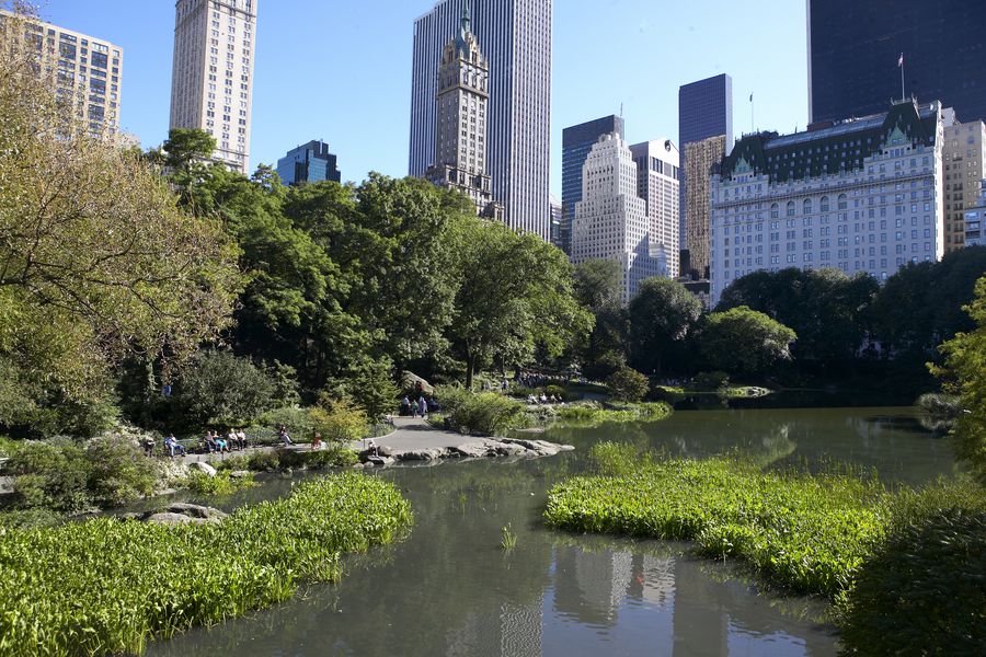 Central Park in New York