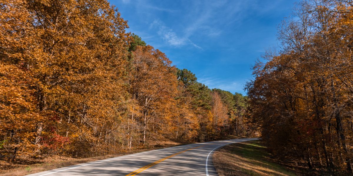 Fall Foliage on the Natchez Trace Parkway - Tupelo - Mississippi - Amerika - Doets Reizen