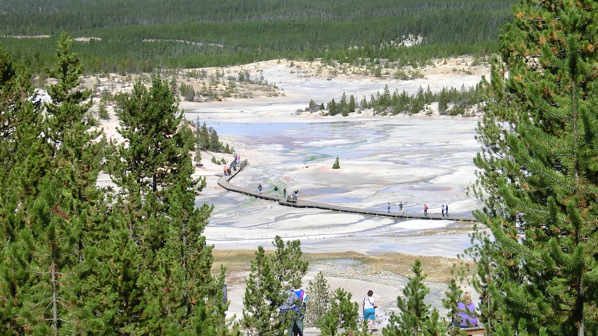 Yellowstone National Park - Wyoming - Doets Reizen