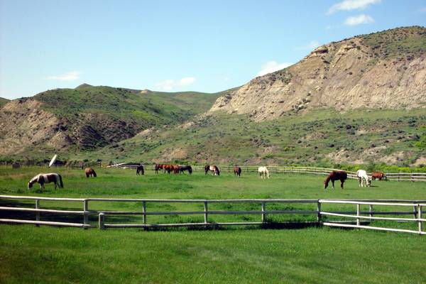 Ranch Ucross - Wyoming - Doets Reizen
