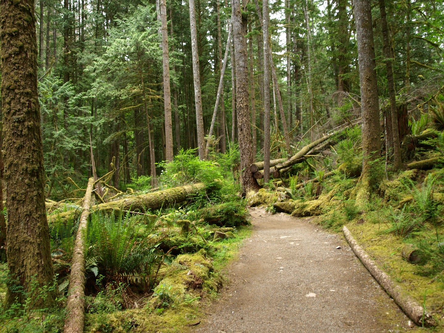Sunshine Coast - British Columbia - Canada - Doets Reizen