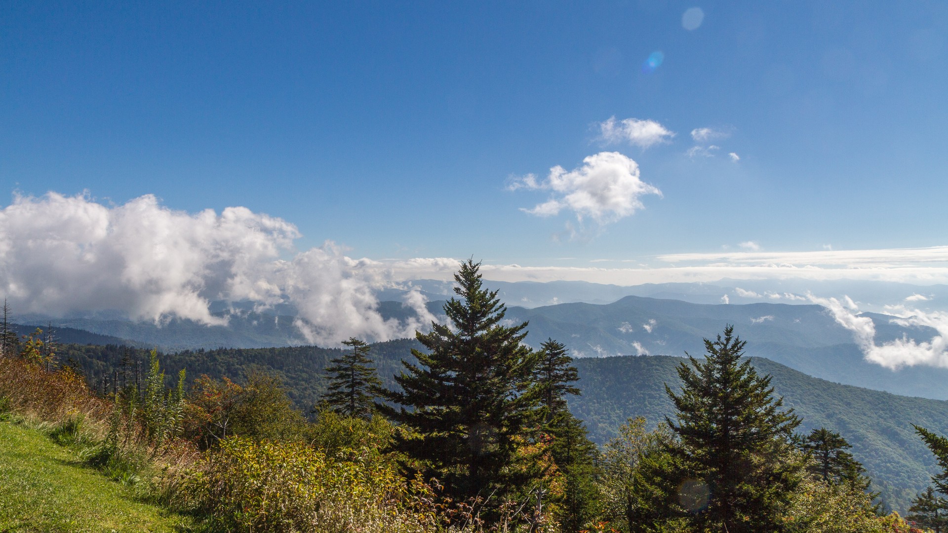 Great Smokey Mountains National Park - Tennessee - Amerika - Doets Reizen