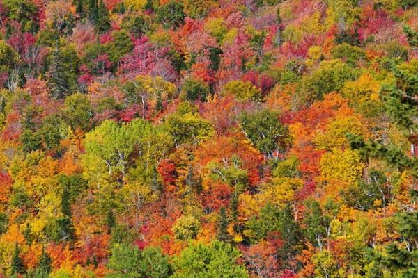 Indian Summer - Quebec - Canada - Doets Reizen