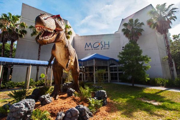 Museum of Science and History - Jacksonville - Florida - Doets Reizen