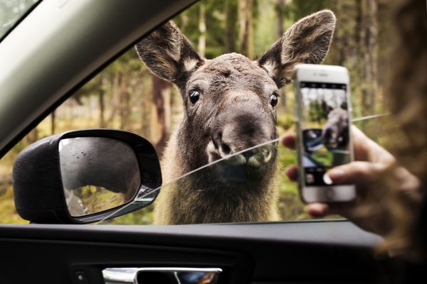 Zweden - Doets Reizen - Vakantie Zweden - Rondreis Zweden