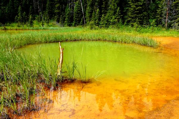 Kootenay National Park - British Columbia - Canada - Doets Reizen