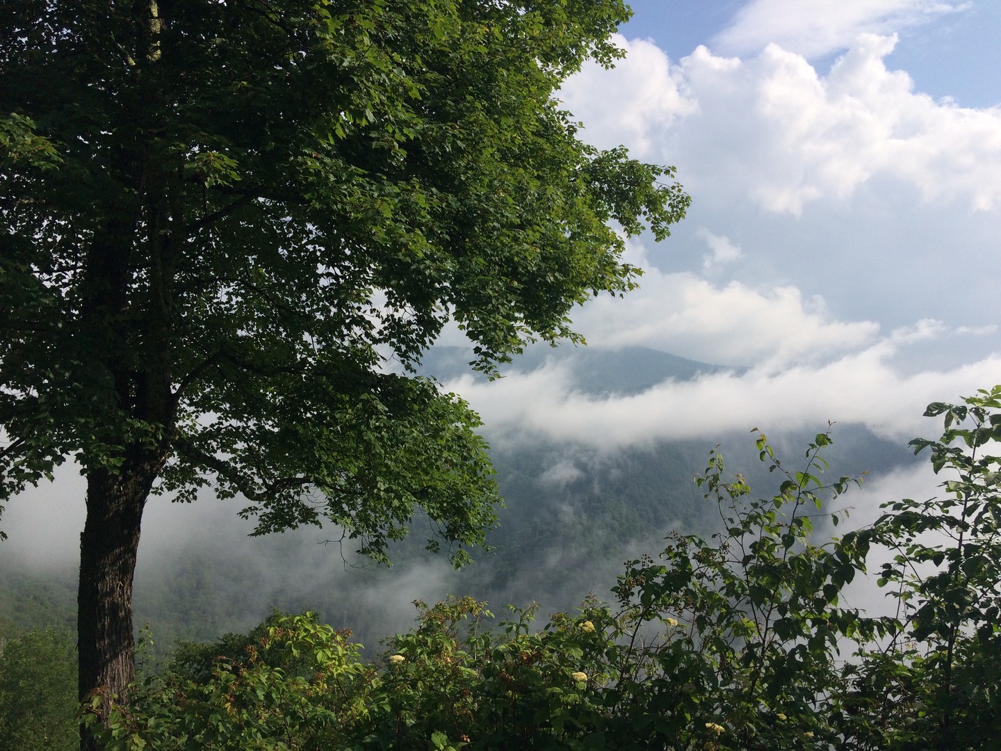 Great Smokey Mountains National Park - Tennessee - Amerika - Doets Reizen