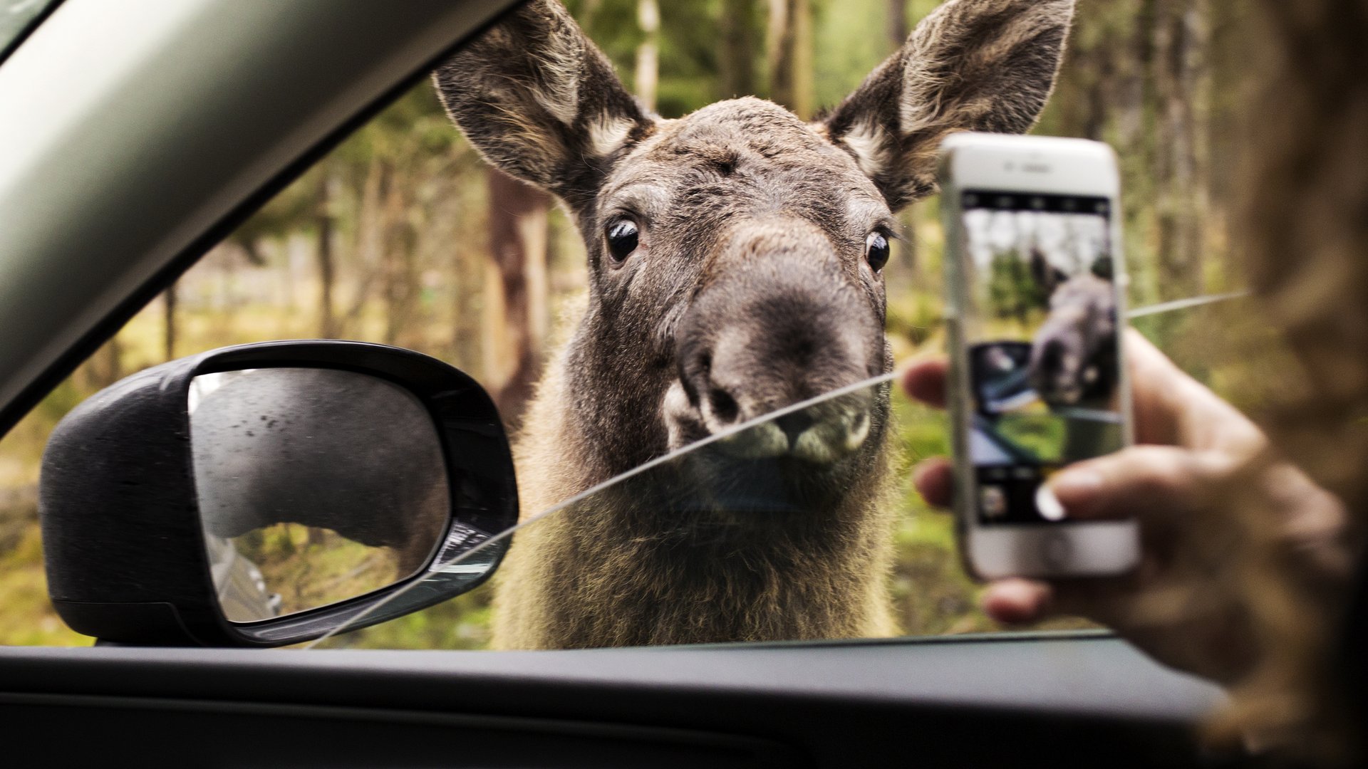 Zweden - Doets Reizen - Vakantie Zweden - Rondreis Zweden
