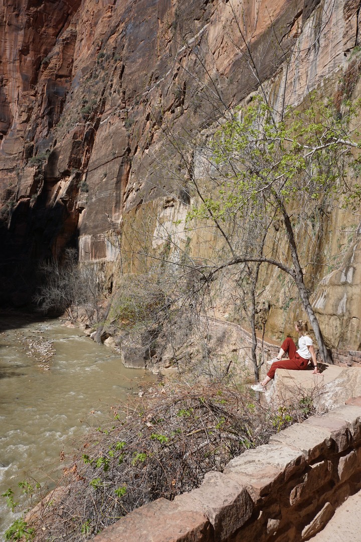 Zion National Park - Utah - Vakantie West Amerika - Doets Reizen (6)