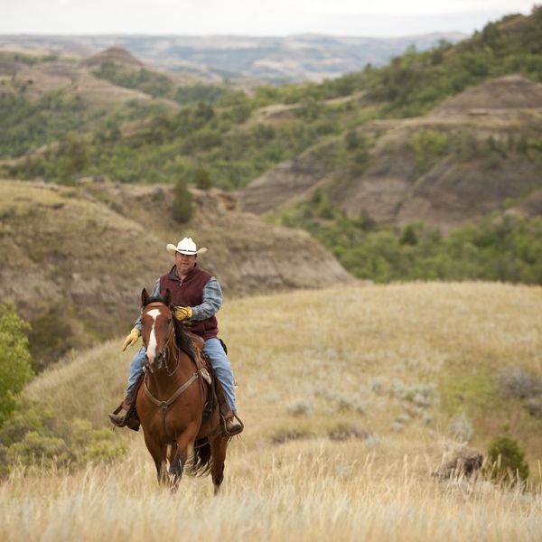 Theodore Roosevelt National Park - North Dakota - Amerika - Doets Reizen