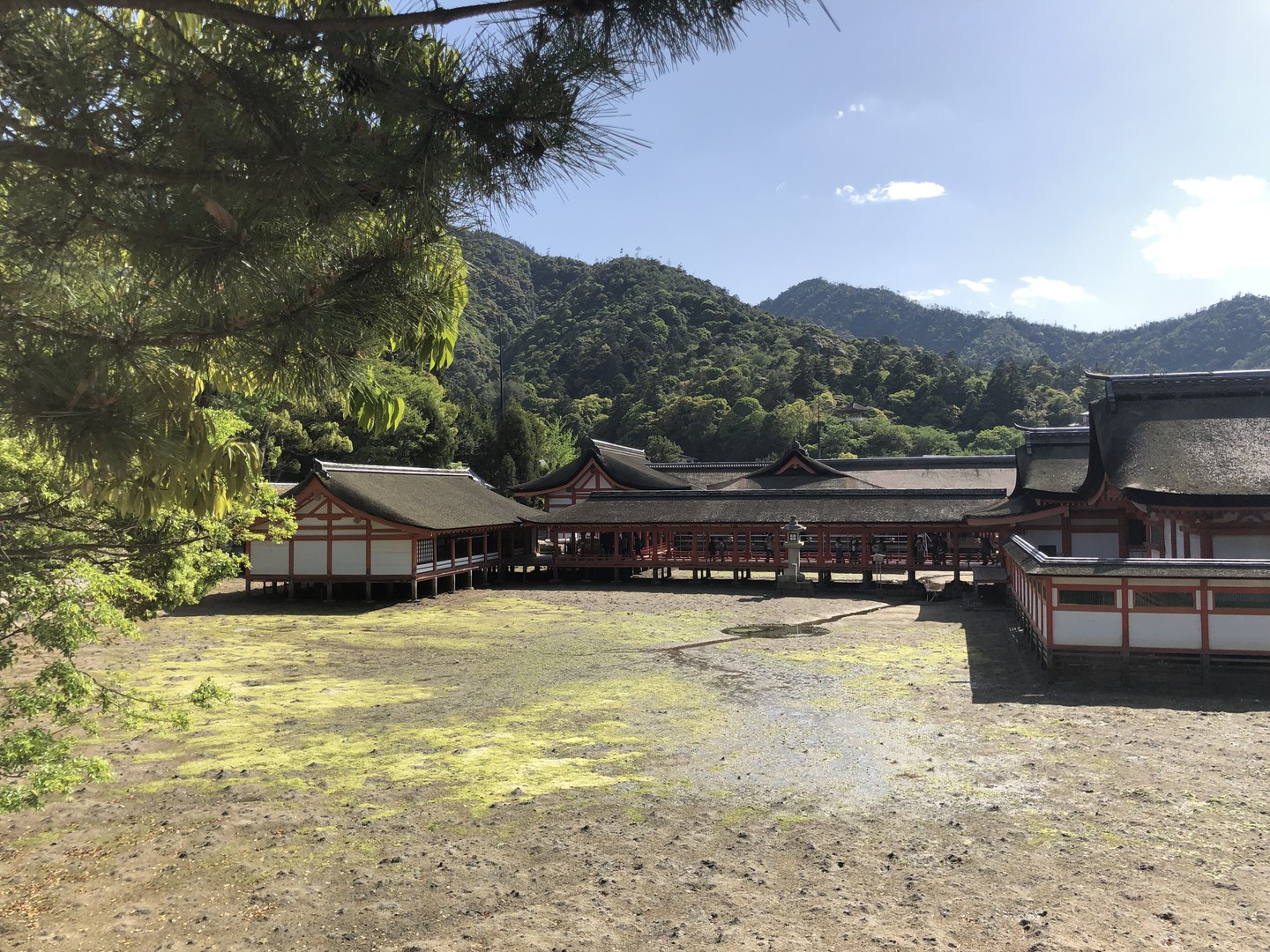 Miyajima - Japan - Doets Reizen