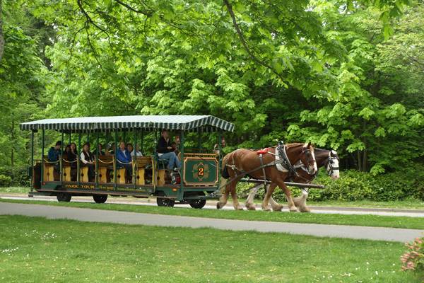 Stanley Park - Vancouver - British Columbia - Canada - Doets Reizen