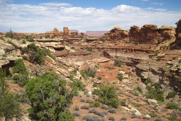Canyonlands National Park - Utah - Doets Reizen