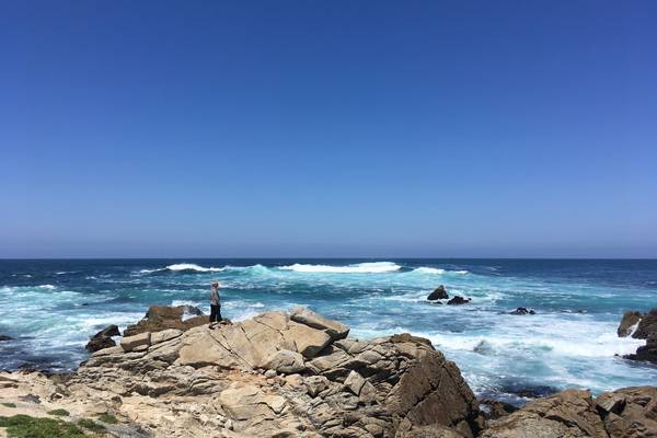 17 Mile Drive - Monterey - California - Amerika - Doets Reizen