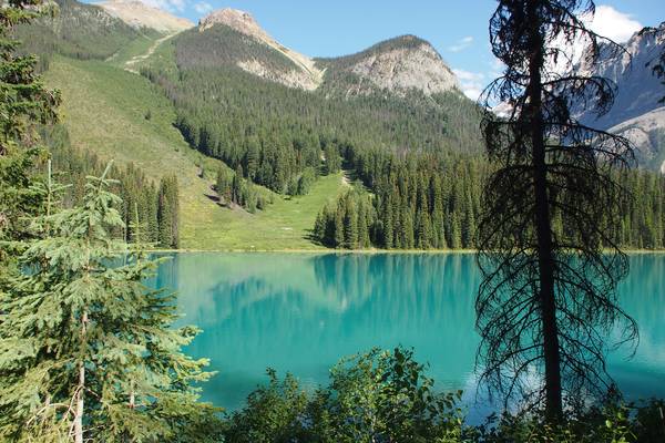 Emerald Lake - Yoho National Park - British Columbia - Canada - Doets Reizen
