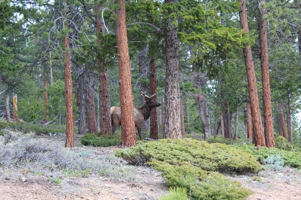 Rocky Mountain National Park - Colorado - Doets Reizen
