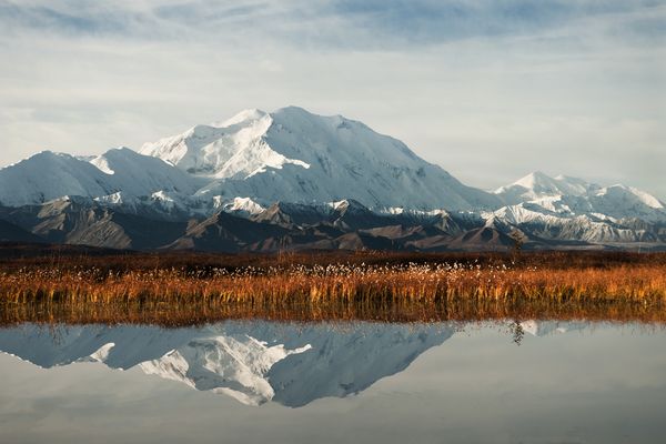 Alaska - Denali National Park - All ALaska Tours - Doets Reizen - USA - Canada