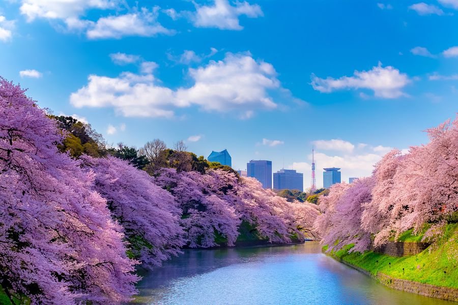 Kanagawa - Japan - Doets Reizen