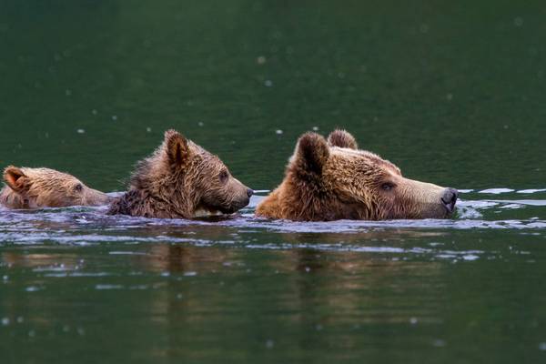 Tide Rip Tours - Telegraph Cove - Vancouver Island - British Columbia - Canada - Doets Reizen