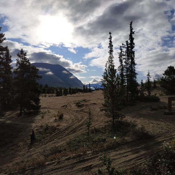 Carcross Desert - Yukon - Canada - Doets Reizen