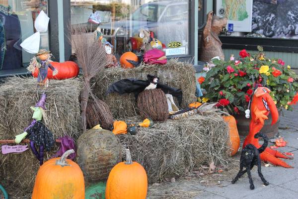 India Summer Vermont - Amerika - Doets Reizen