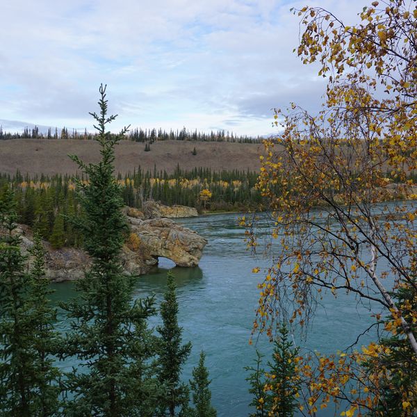 Five Finger Rapids - Yukon - Canada - Doets Reizen