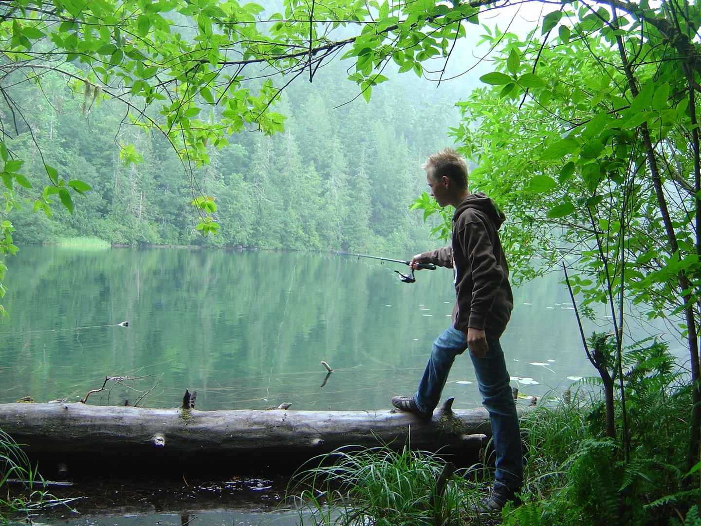 McMIllan Provinciale Park - Cathedral Grove -Vancouver Island - British Columbia - Canada - Doets Reizen