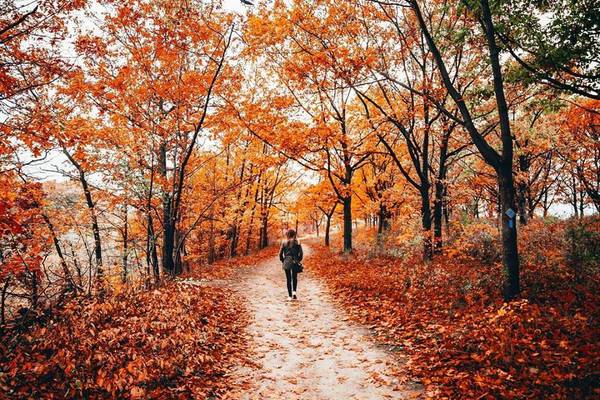 Indian Summer Ontario - Canada - Doets Reizen