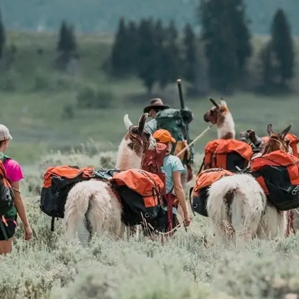 Wilderness Ridge Adventures - Lama Tours - Capitol Reef NP - Utah - Amerika - Doets Reizen