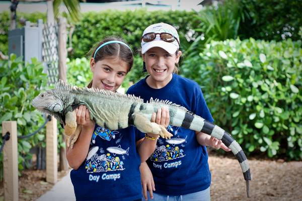 Miami Seaquarium - Florida - Doets Reizen