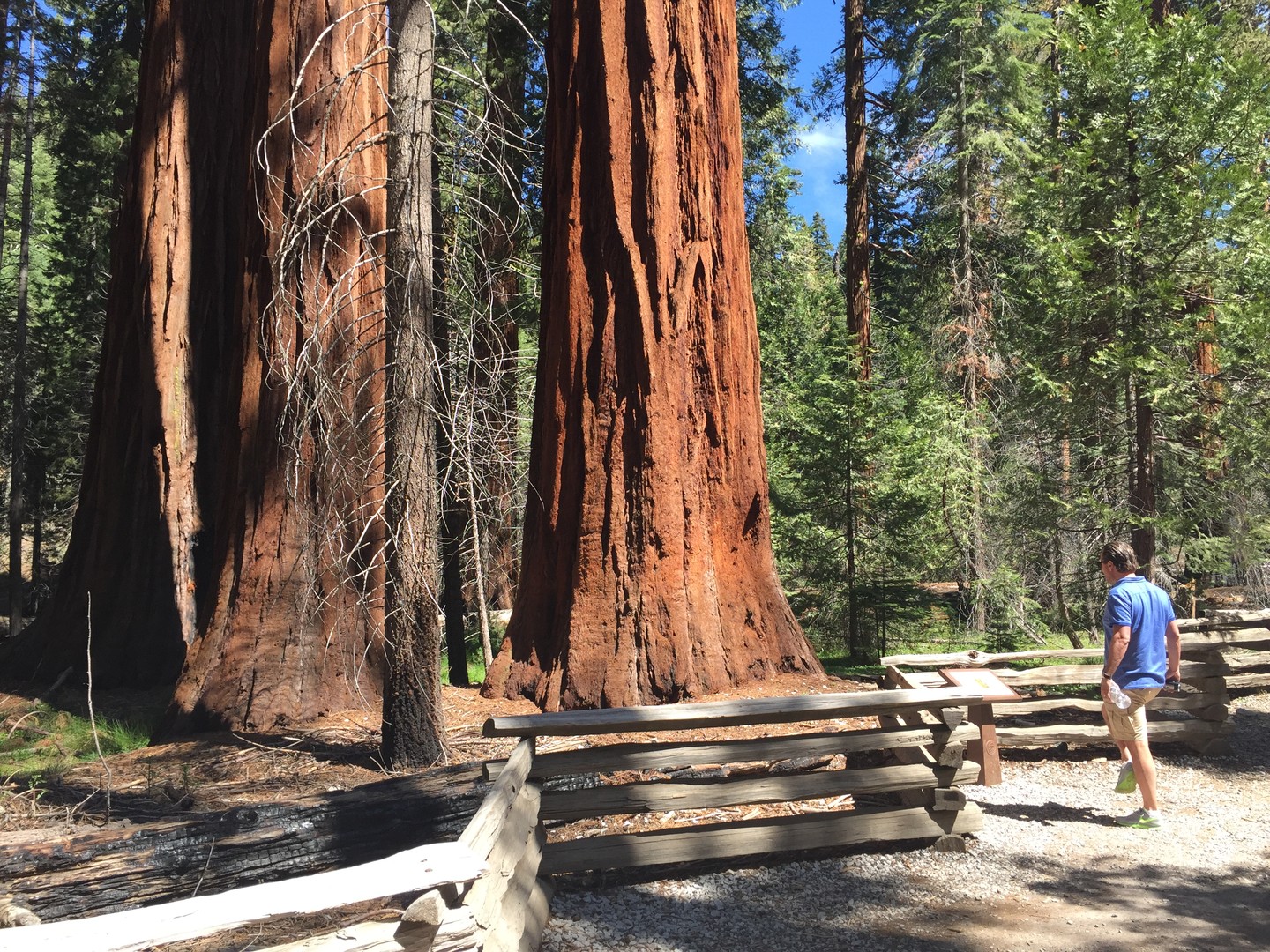 Yosemite National Park - California - Doets Reizen