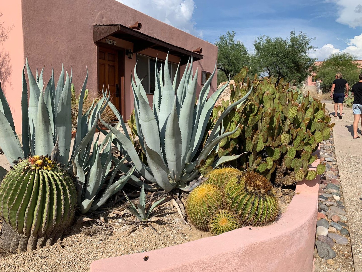 Tanque Verde Ranch - Tucson - Arizona - Doets Reizen