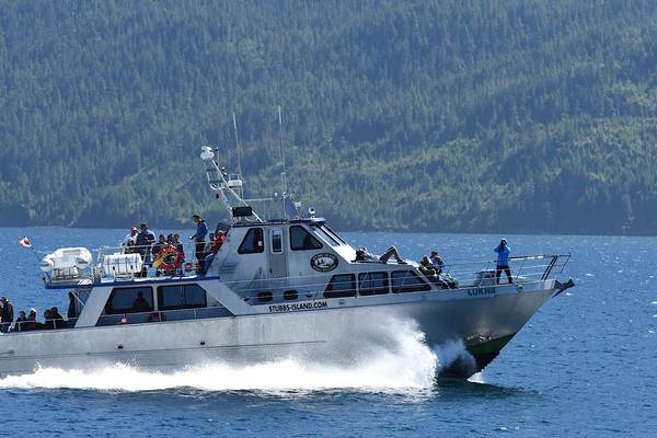 Telegraph Cove - Vancouver Island - British Columbia - Canada - Doets Reizen