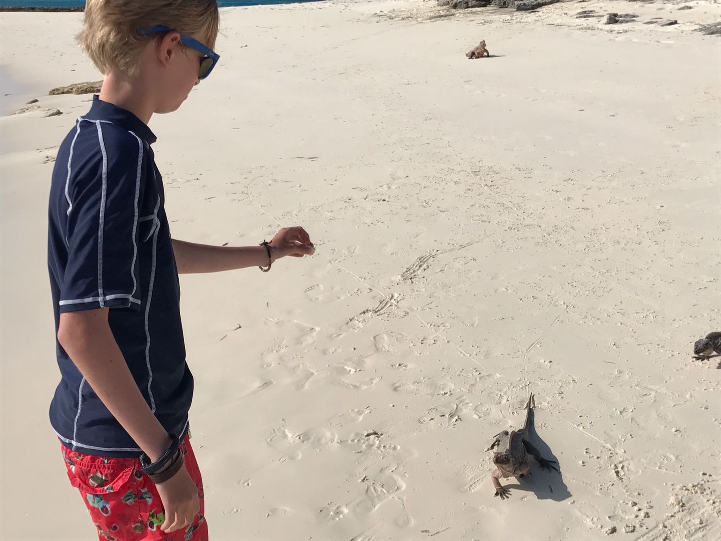 Great Exuma - Cruise Bahamas - Cruisevakantie - Doets Reizen