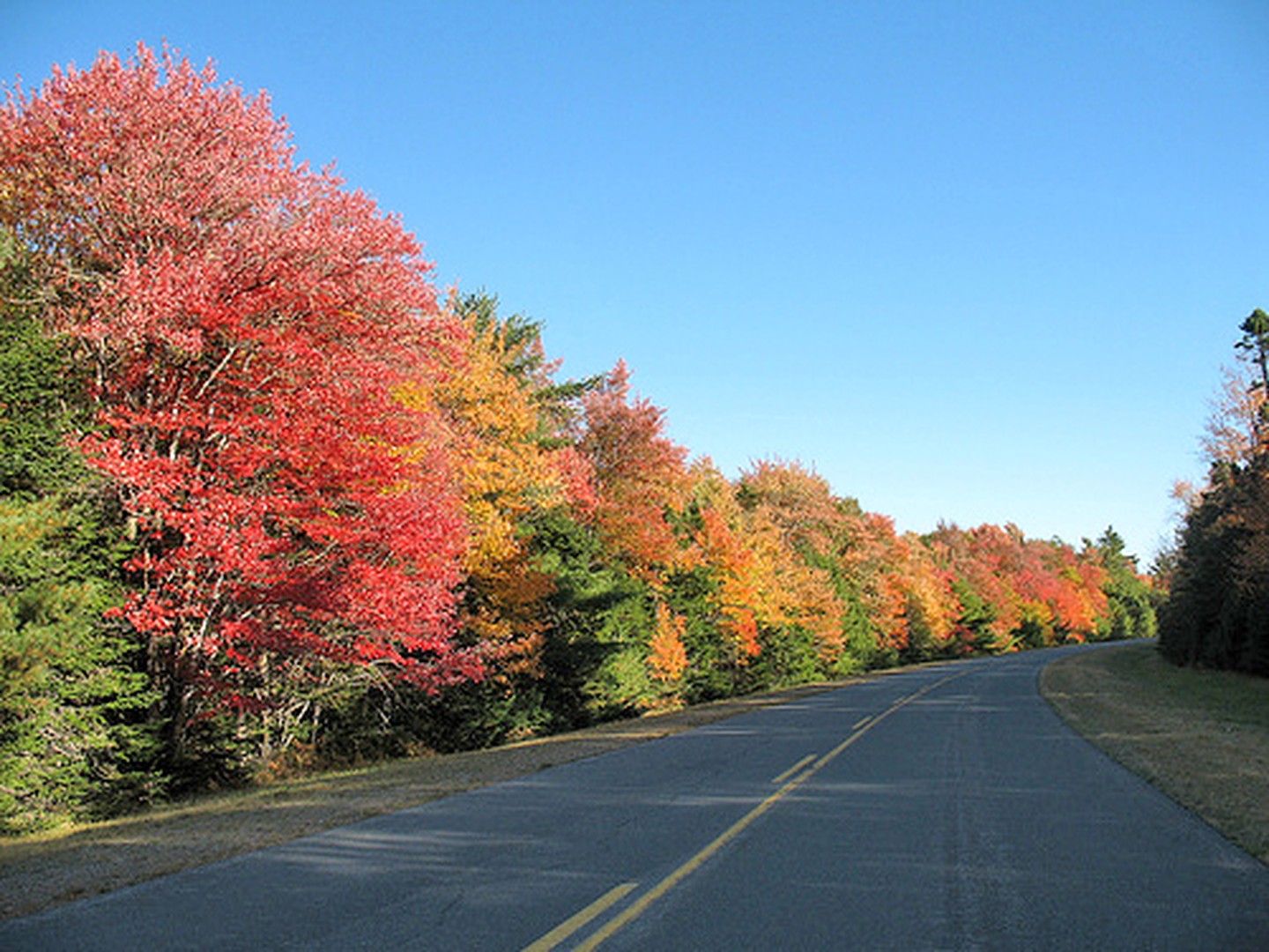 Kejimkujik National Park - Nova Scotia - Canada - Doets Reizen