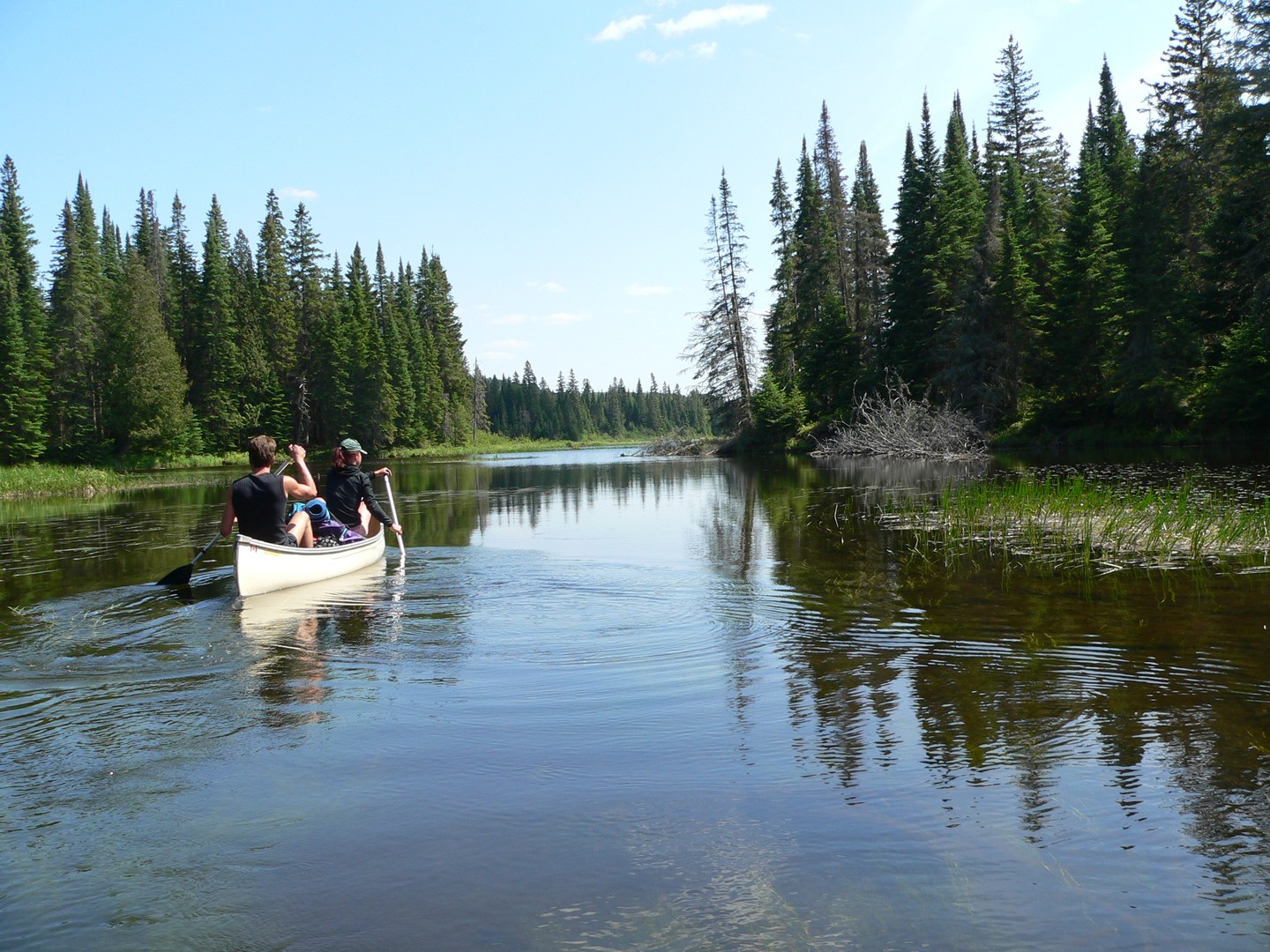 Algonquin Provincial Park - Ontario - Canada - Doets Reizen
