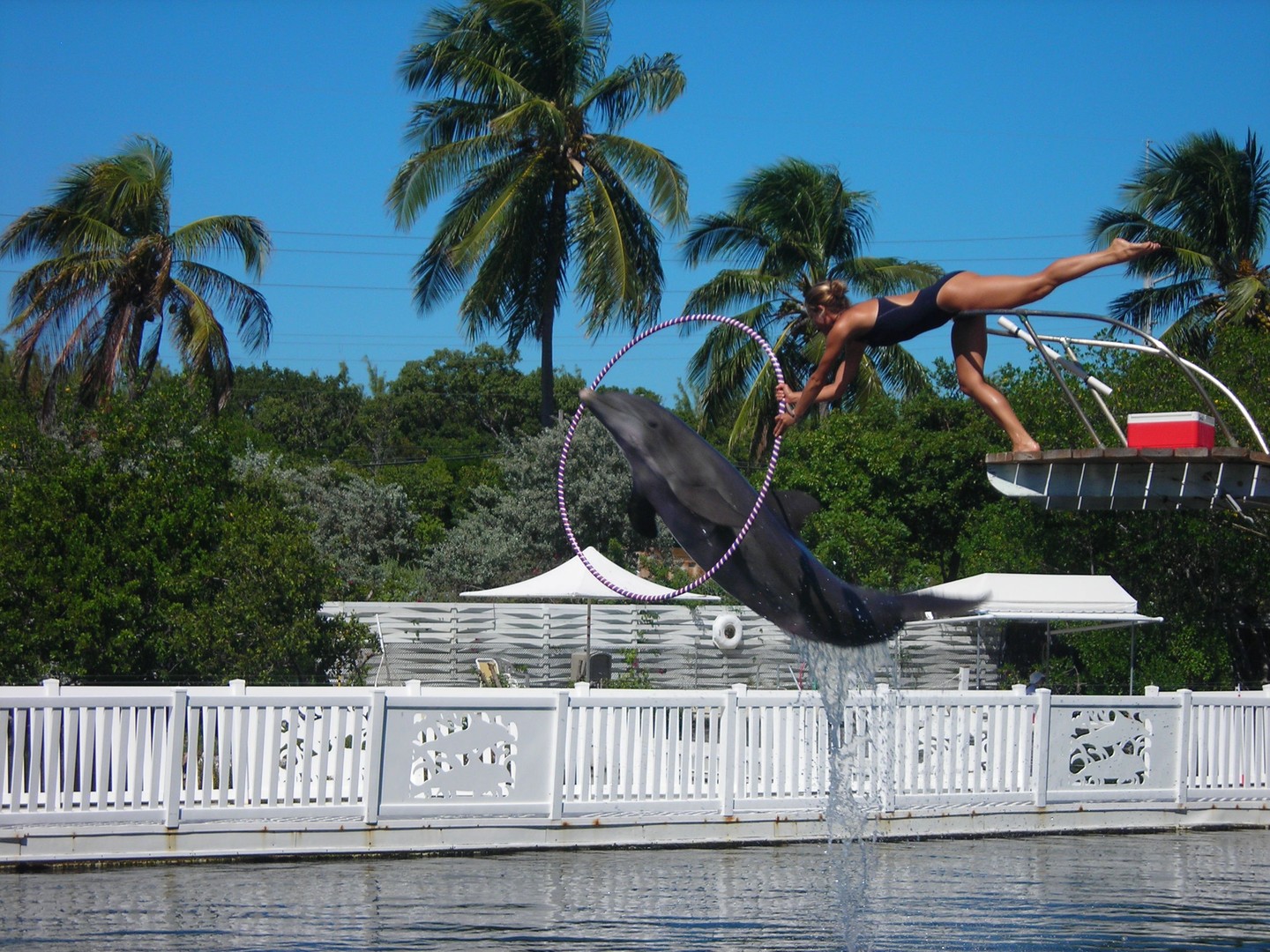 Theater of the Sea - Islamorada - The Keys - Florida - Doets Reizen
